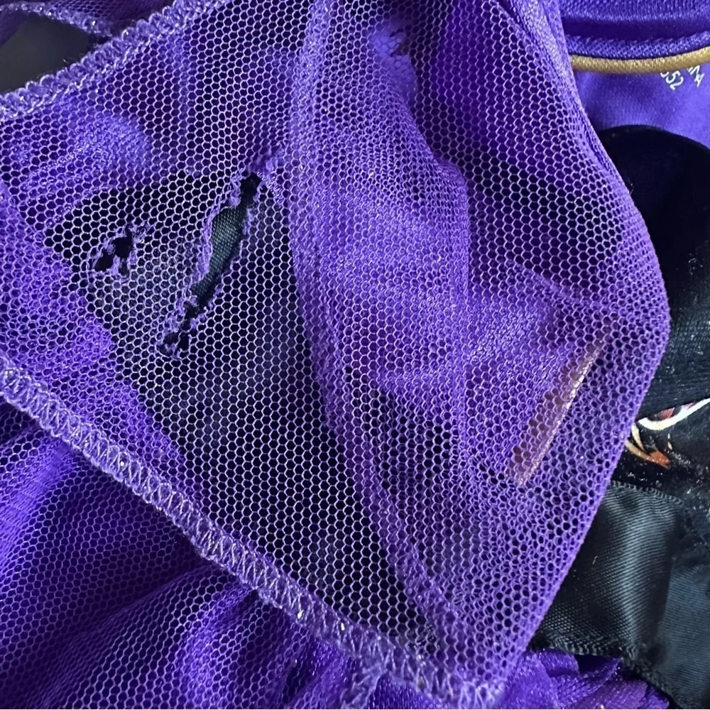 Disney Frozen Purple Dress